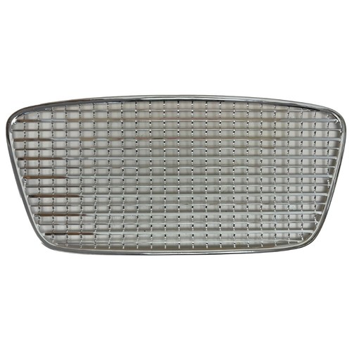 Mesh grille 1959 60 - mesh,